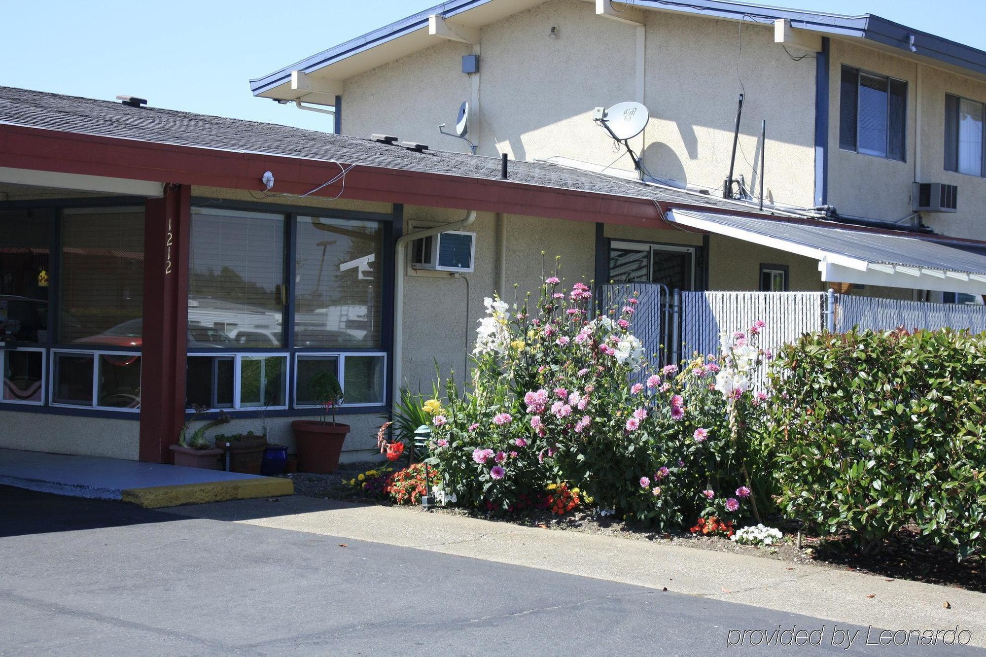 Rodeway Inn Albany Exterior foto